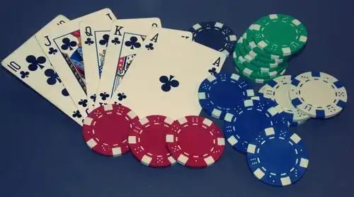 xp bet app
